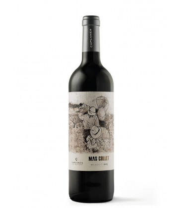 2023 Mas Collet 2023 Mas Collet