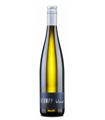 2024 Weingut Klumpp Blanc, trocken