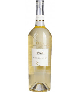 2024 Pipoli Bianco - Weinlager Barkhausen