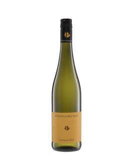 2022 Pfannebecker Sauvignon Blanc trocken