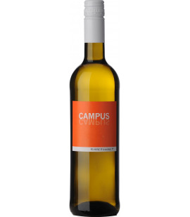 2024 Campus - Rivaner trocken - Weinlager Barkhausen