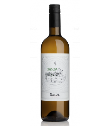2022 Weingut Salzl Figaro Grüner Veltliner Alte Reben 2022 Weingut Salzl Figaro Grüner Veltliner Alte Reben