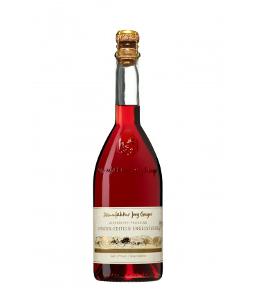 Geiger Spendenedition Engelsflügel Geiger Spendenedition Engelsflügel