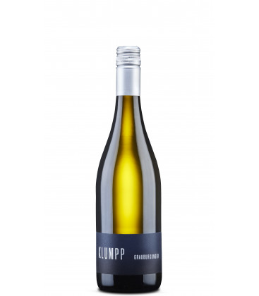 2023 Weingut Klumpp Grauburgunder, trocken 2023 Weingut Klumpp Grauburgunder, trocken