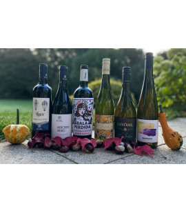 Probierpaket Neuheiten