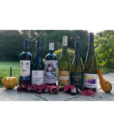 Probierpaket Neuheiten Probierpaket Neuheiten