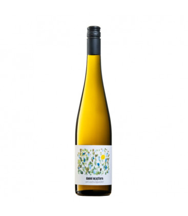 2024 Weingut Daniel Mattern Weissburgunder trocken 2024 Weingut Daniel Mattern Weissburgunder trocken
