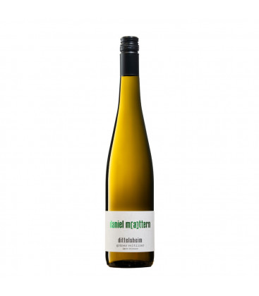 2019 Weingut Daniel Mattern Dittelsheim Grüner Veltliner late release trocken 2019 Weingut Daniel Mattern Dittelsheim Grüner Veltliner late release trocken