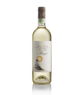 2024 Pelassa San Vito Roero Arneis - Weinlager Barkhausen