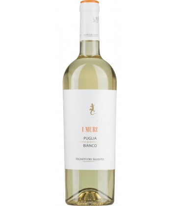 2024 I Muri Bianco 2024 I Muri Bianco