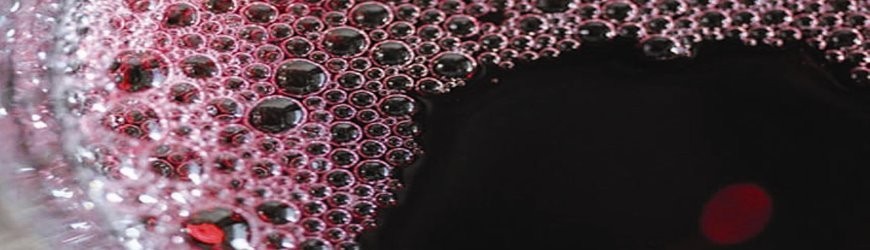 Italienische Rotweine aus der Region Emilia Romagna - Weinlager Barkhausen