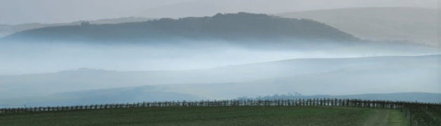 Italienische Rotweine aus der Region Piemont - Weinlager Barkhausen