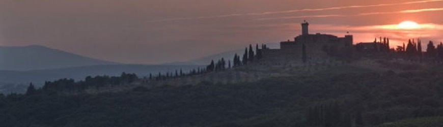 Italienische Rotweine aus der Toskana - Weinlager Barkhausen