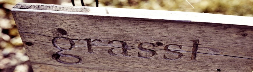 Österreichische Weißweine des Weinguts grassl - Weinlager Barkhausen