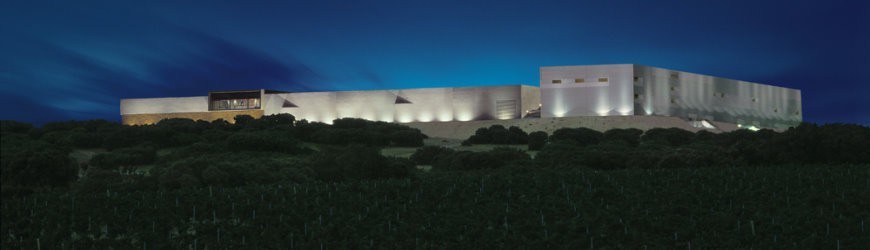 Spanische Rotweine aus der Region La Mancha - Weinlager Barkhausen