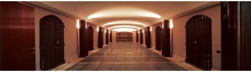 Spanische Rotweine aus der Region Toro - Weinlager Barkhausen