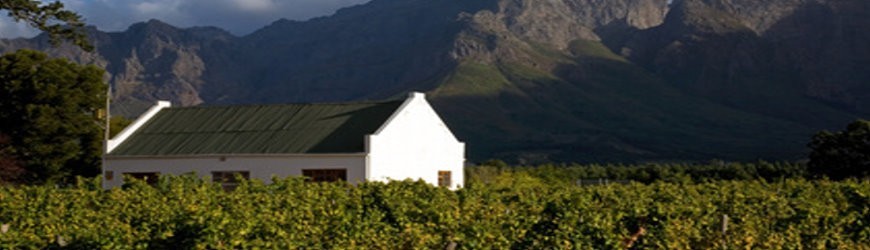 Weißwein aus Südafrika - Weinlager Barkhausen