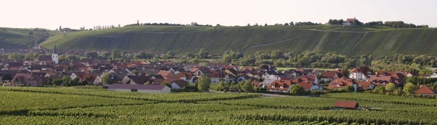 Fränkische Roséweine des Weinguts Zur Schwane - Weinlager Barkhausen