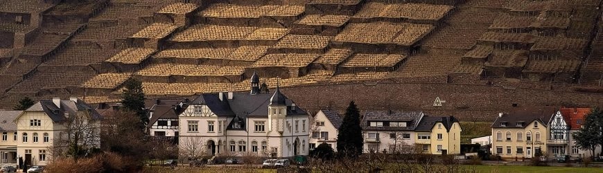 Deutsche Rotweine von der Ahr - Weinlager Barkhausen