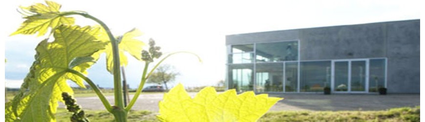 Österreichische Rotweine des Weinguts Pittnauer - Weinlager Barkhausen