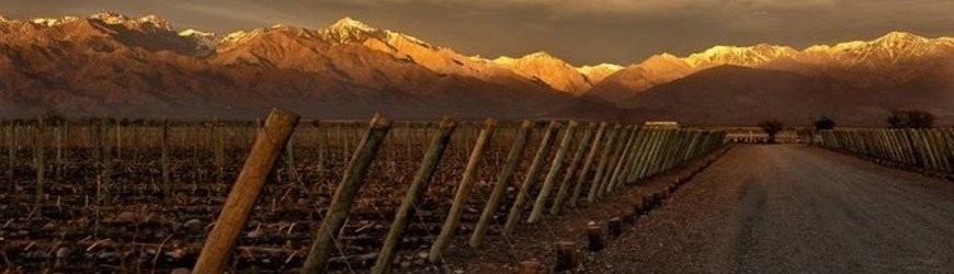 Rotwein aus Argentinien - Weinlager Barkhausen