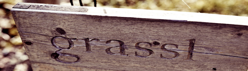 Österreichische Roséweine des Weinguts grassl - Weinlager Barkhausen