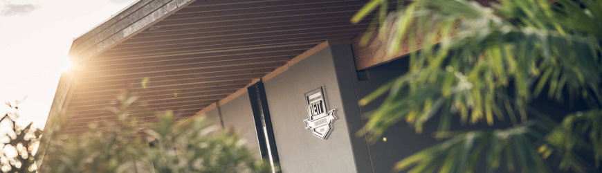 Pfälzische Weißweine des Weinguts Nett - Weinlager Barkhausen