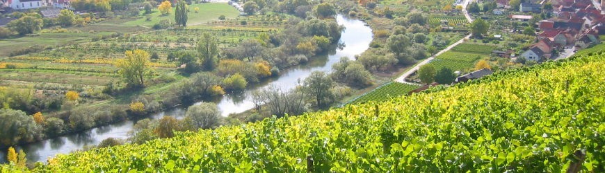 Deutsche Weißweine aus der Region Franken - Weinlager Barkhausen