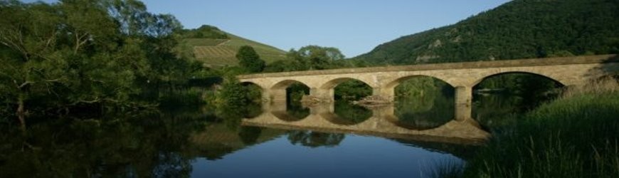 Deutsche Weißweine aus der Region Nahe - Weinlager Barkhausen