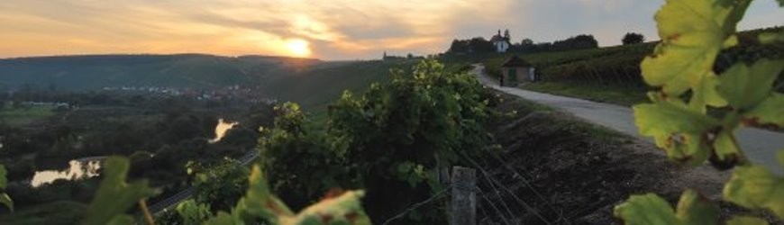 Deutscher Rotwein aus Württemberg - Weinlager Barkhausen
