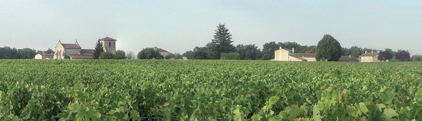 Französische Rotweine aus der Region Margaux - Weinlager Barkhausen