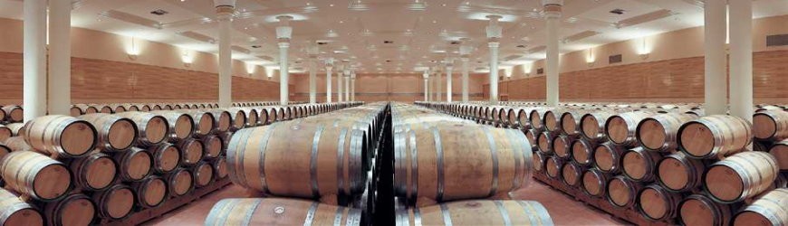 Französische Weißweine aus Bordeaux - Weinlager Barkhausen