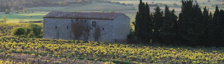 Französische Rotweine aus der Region Corbieres - Weinlager Barkhausen