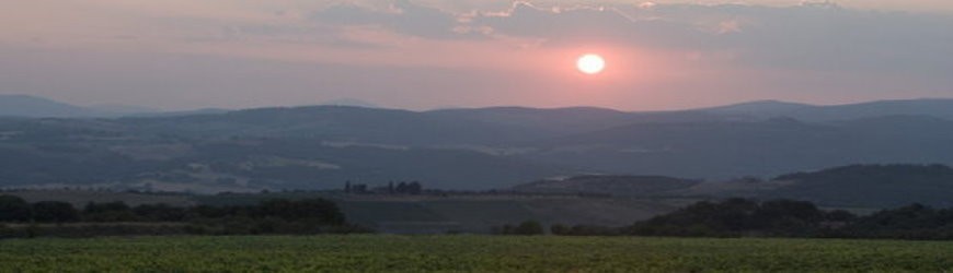 Französische Rotweine aus der Region Languedoc - Weinlager Barkhausen