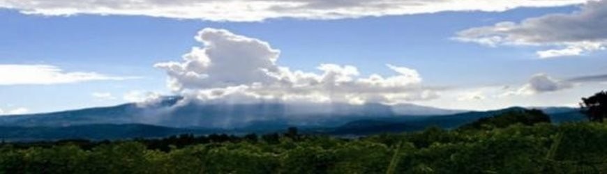 Französische Weißweine aus der Region Loire - Weinlager Barkhausen