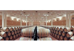 Bordeaux bezahlbar und gut