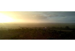 Domaine Boudau – eine Erfolgsgeschichte