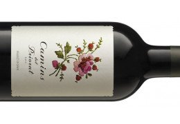 Spitzen-Rotweine von Alvaro Palacios aus Spanien