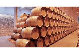 Finca Antigua ein Stern in der Mancha